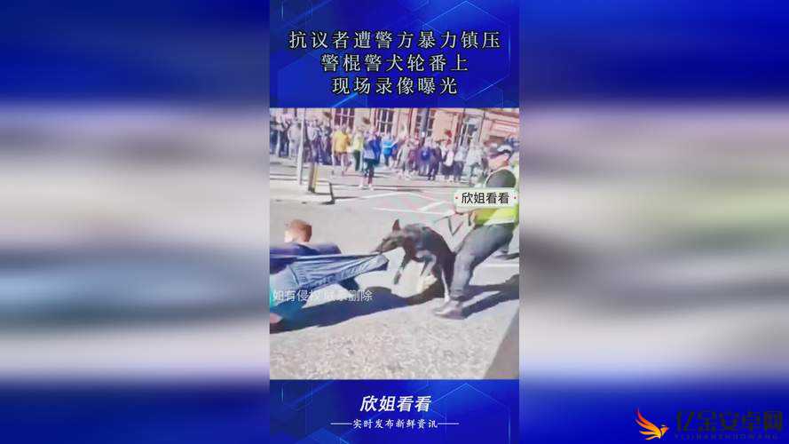 96 无人区码一码二码三码：神秘地带的探索之旅