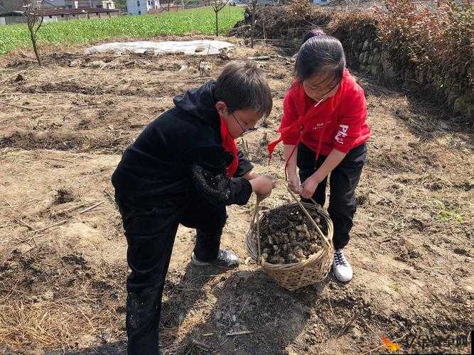 撅起来自己报数姜实践以及相关内容详细解析